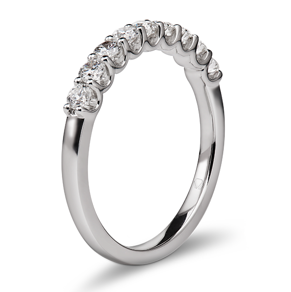 Anillo1 Entrada